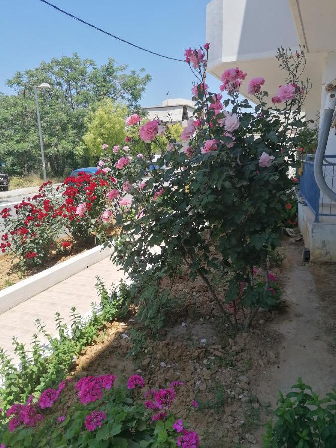 Elva Creta Lägenhet Heraklion Exteriör bild